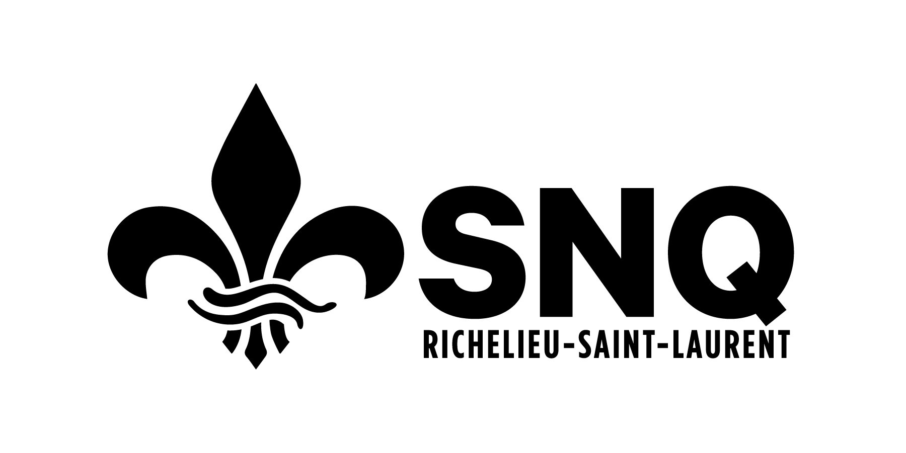SNQ_LOGO_NOIR_horiz.png (37 KB)