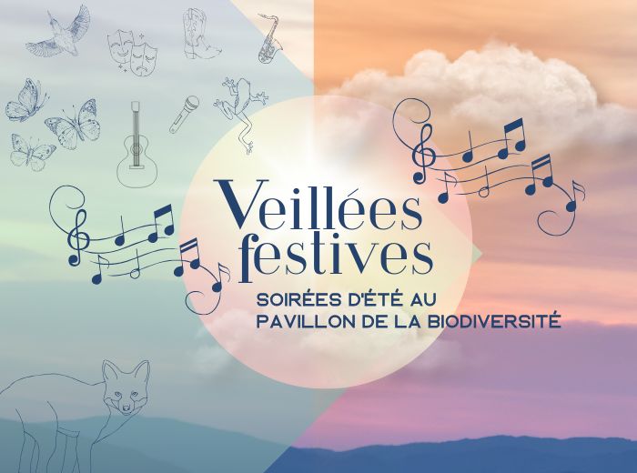 Veillées festives 2025 : trois soirées, mille raisons d’y être!