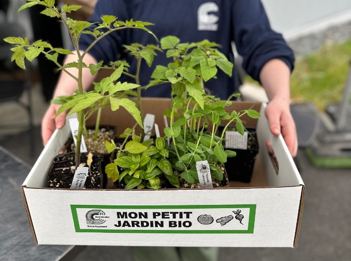 Distribution de petits jardins bio et d’arbres | Inscription dès le 30 avril à 18 h